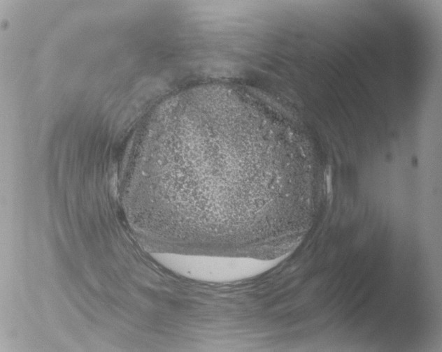 X0000051861251200507151811