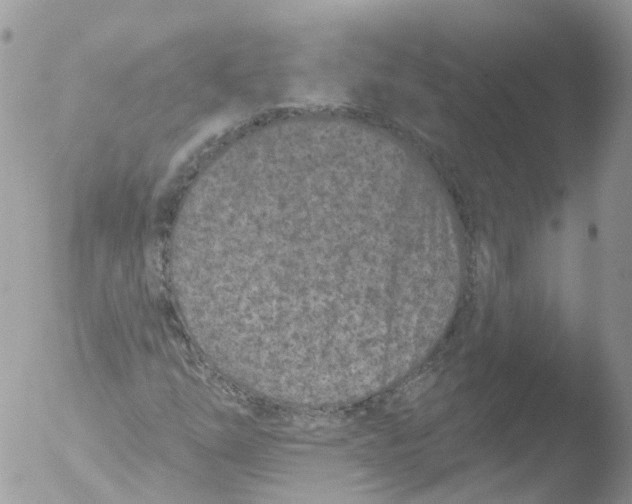 X0000051861254200507151811