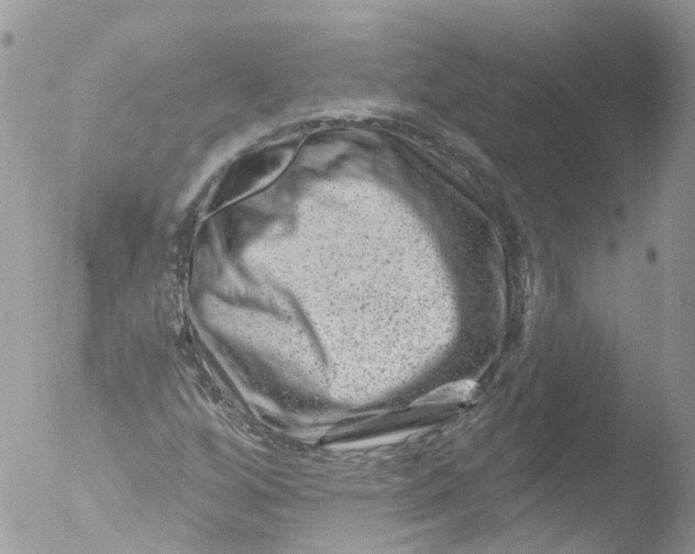 X0000051861256200507151811