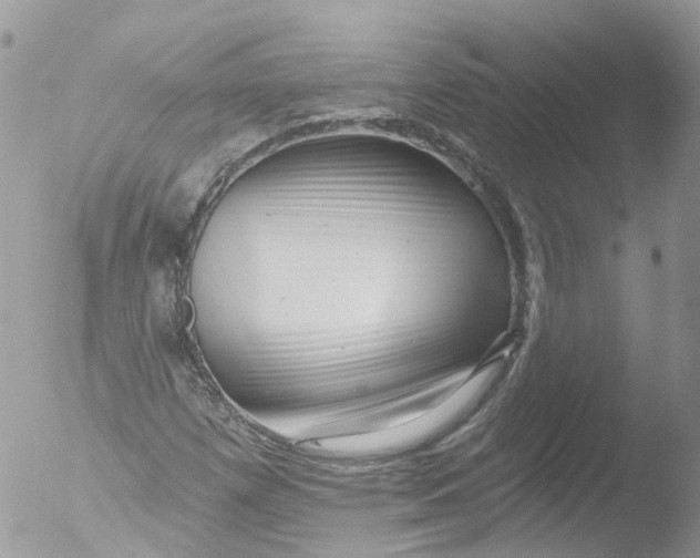 X0000051861257200507151811