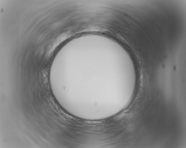 X0000051861258200507151811