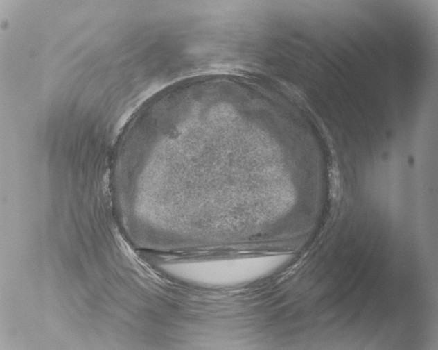 X0000051861260200507151811