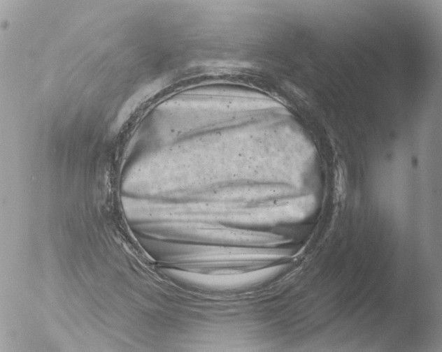 X0000051861261200507151811