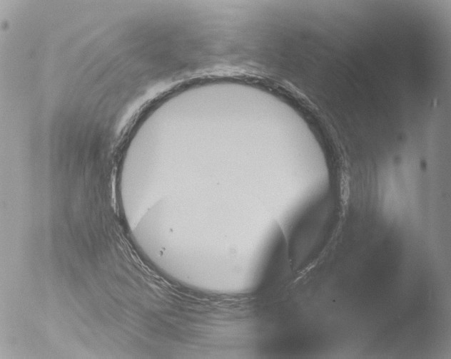 X0000051861262200507151811