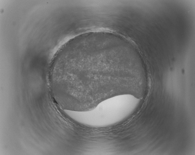 X0000051861263200507151811