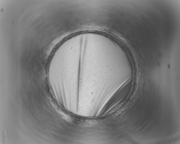 X0000051861264200507151811