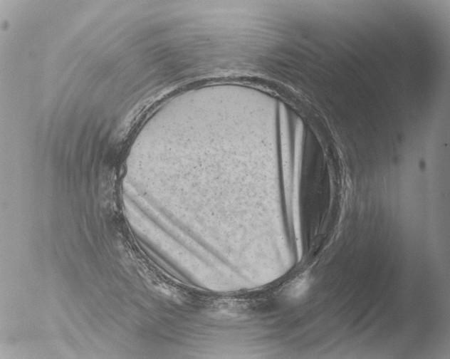 X0000051861265200507151811