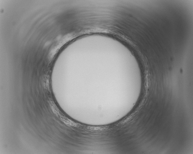 X0000051861266200507151811