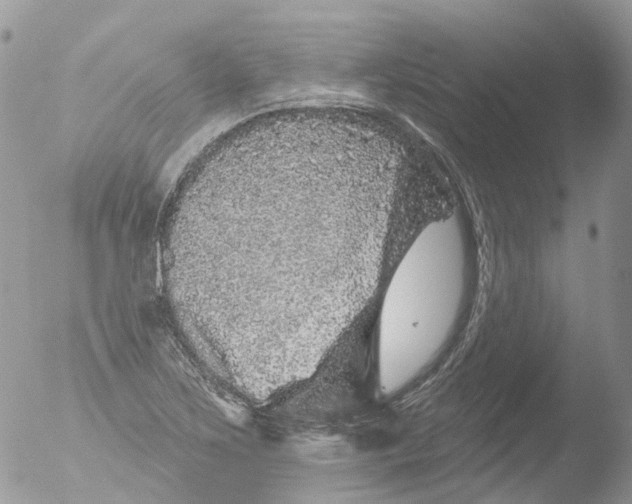 X0000051861267200507151811