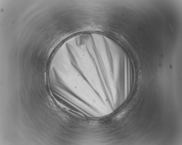 X0000051861268200507151811