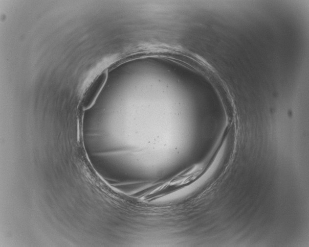 X0000051861269200507151811