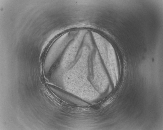 X0000051861270200507151811