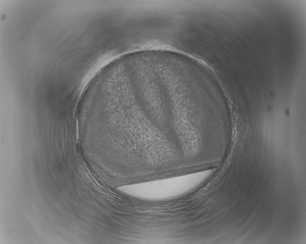 X0000051861271200507151811