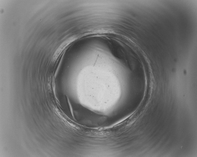 X0000051861273200507151811