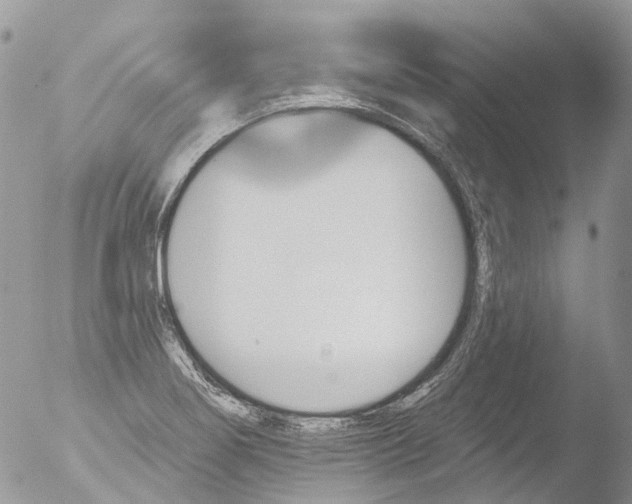 X0000051861274200507151811