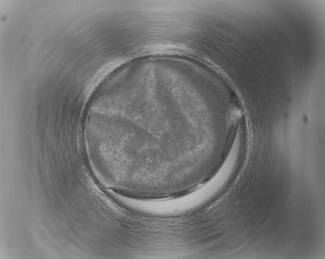 X0000051861277200507151811