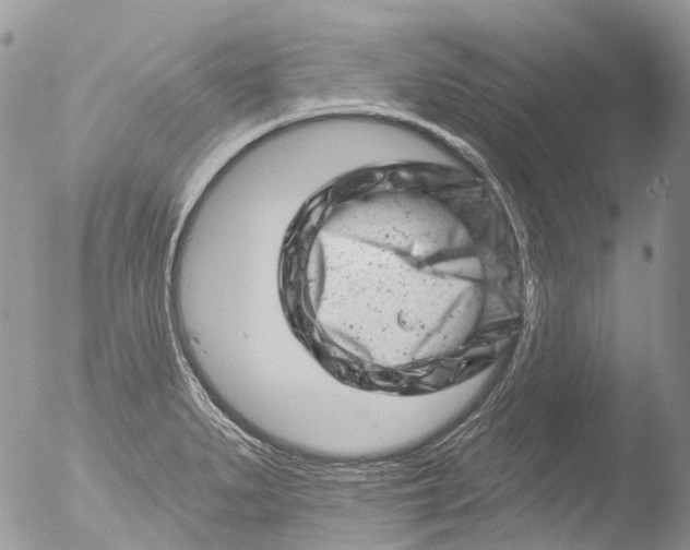 X0000051861279200507151811