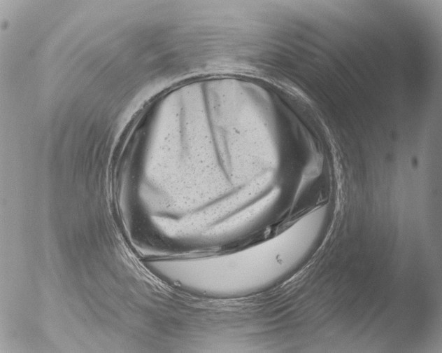 X0000051861280200507151811