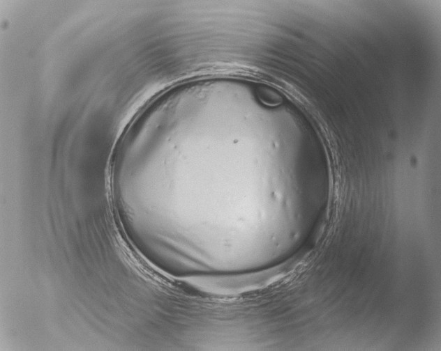 X0000051861283200507151811