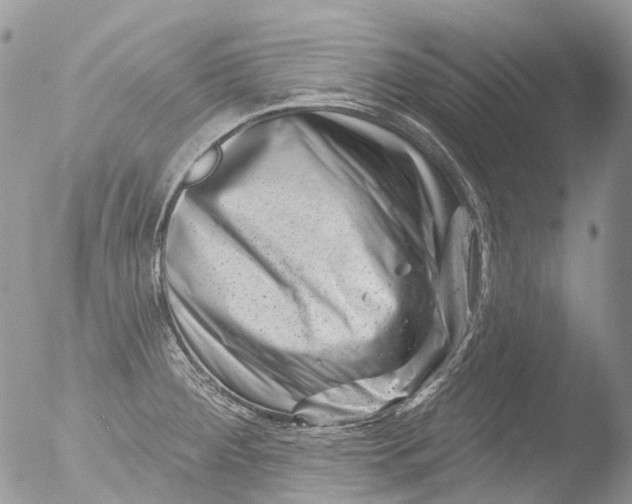 X0000051861284200507151811