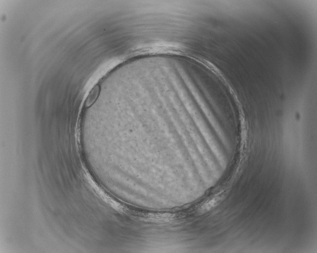 X0000051861285200507151811