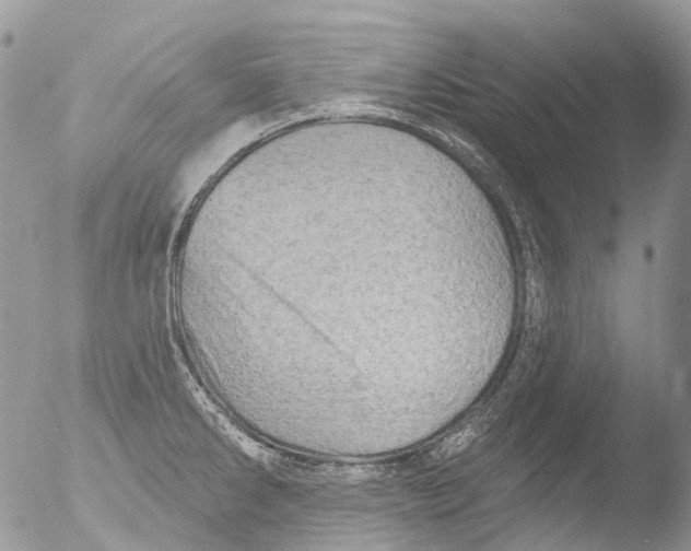 X0000051861286200507151811