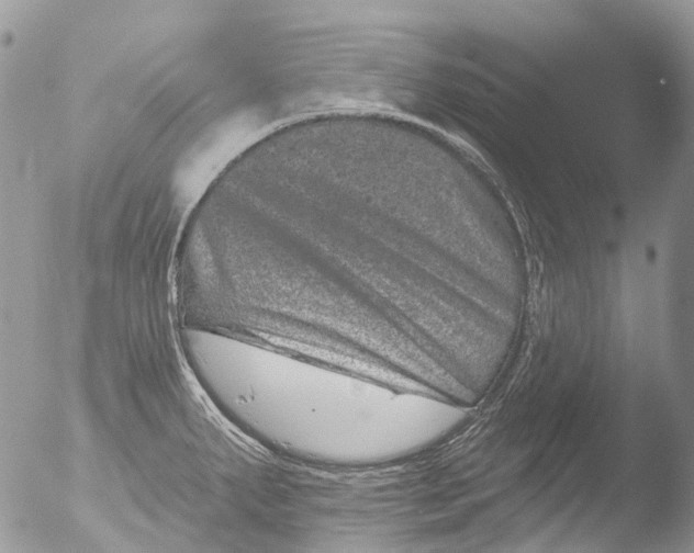 X0000051861287200507151810