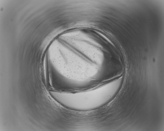 X0000051861288200507151810