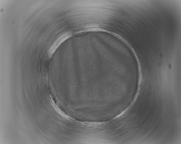 X0000051861289200507151810