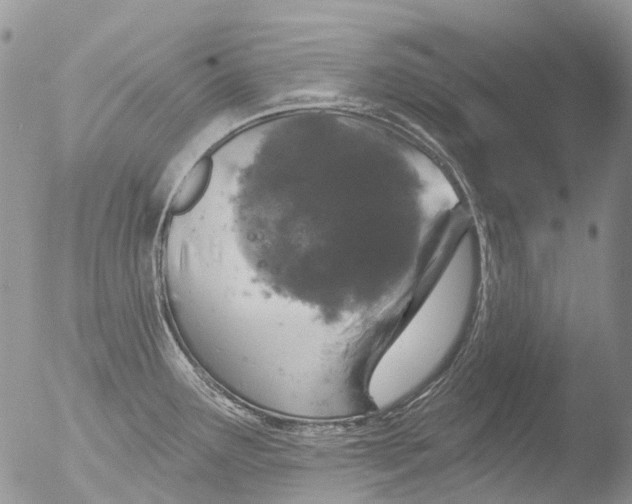 X0000051861291200507151810