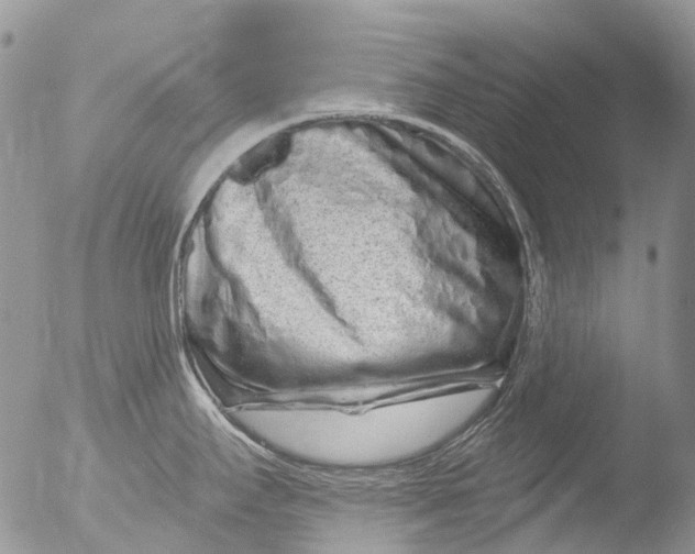 X0000051861295200507151810