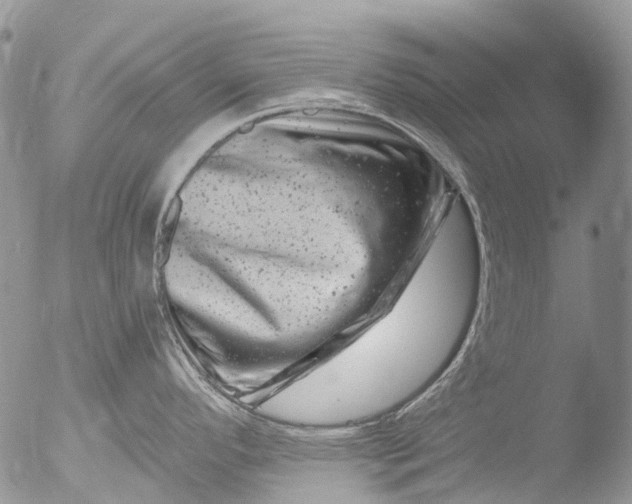 X0000051861296200507151810