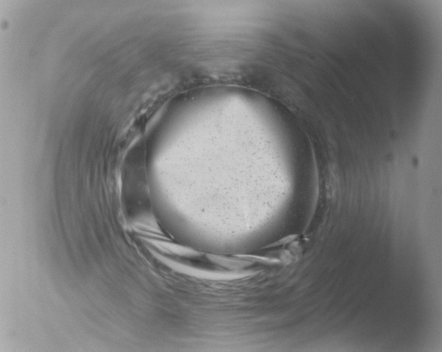 X0000051861298200507151810