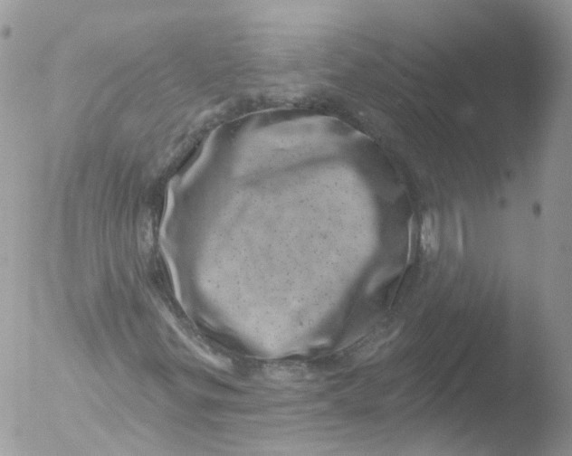 X0000051861299200507151810