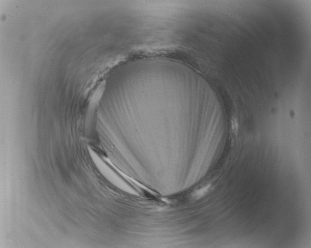 X0000051861300200507151810