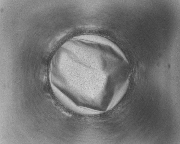 X0000051861301200507151810