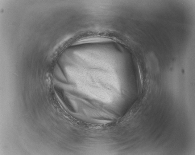 X0000051861302200507151810