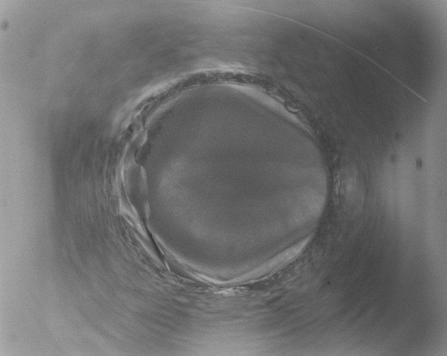 X0000051861303200507151810