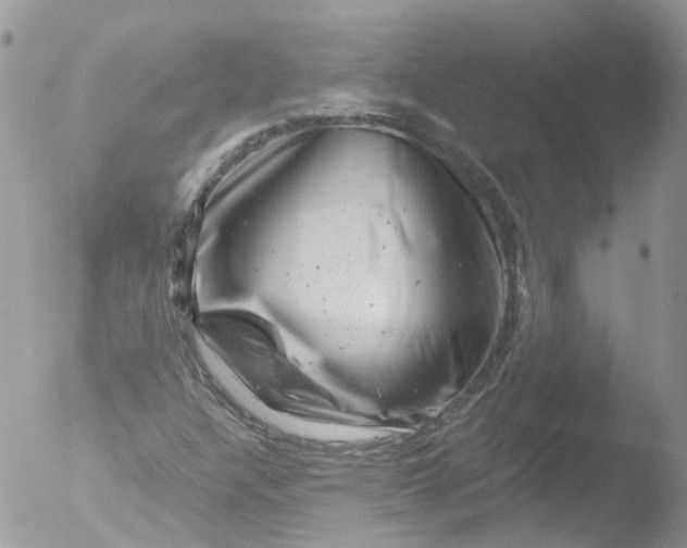 X0000051861304200507151810