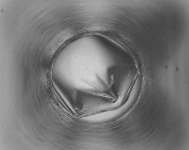 X0000051861305200507151810