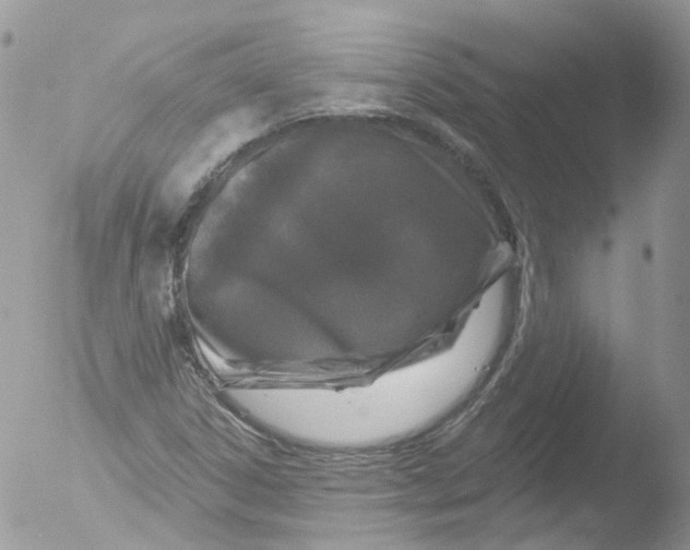 X0000051861306200507151810