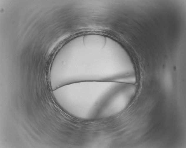 X0000051861307200507151810