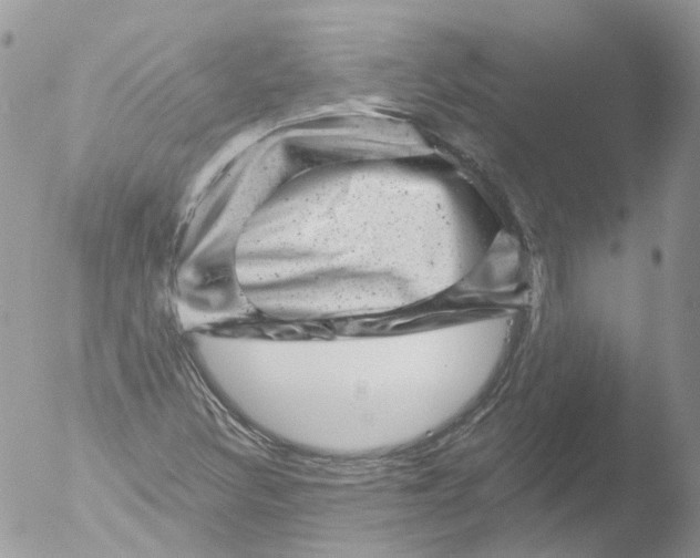 X0000051861308200507151810