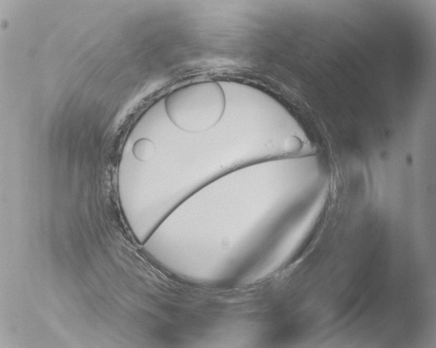 X0000051861309200507151810