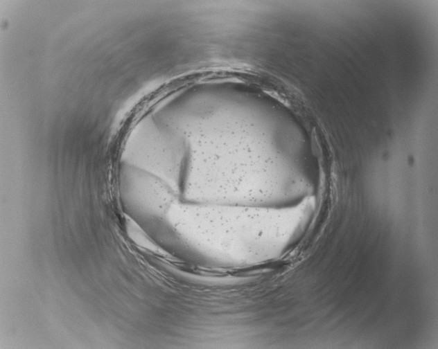 X0000051861310200507151810