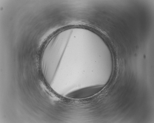 X0000051861311200507151810