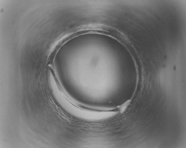 X0000051861312200507151810