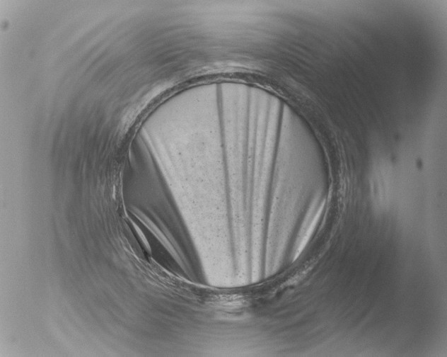 X0000051861313200507151810