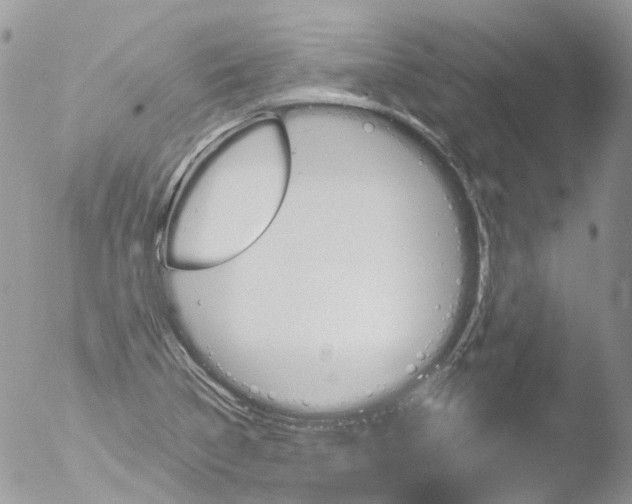 X0000051861314200507151810