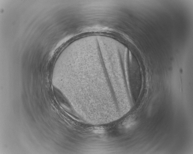 X0000051861315200507151810